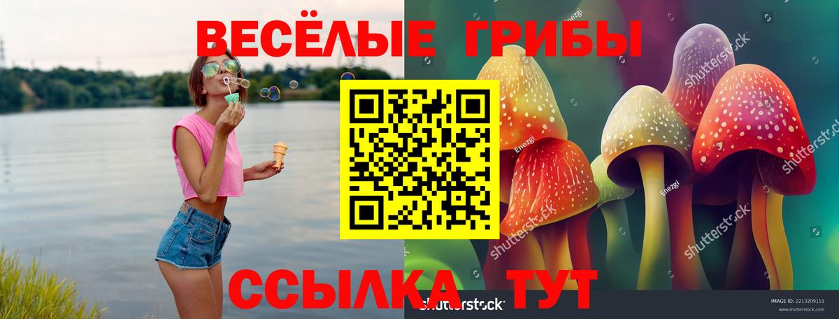 Альметьевск  Галлюциногенные грибы мицелий  Вход с VPN 